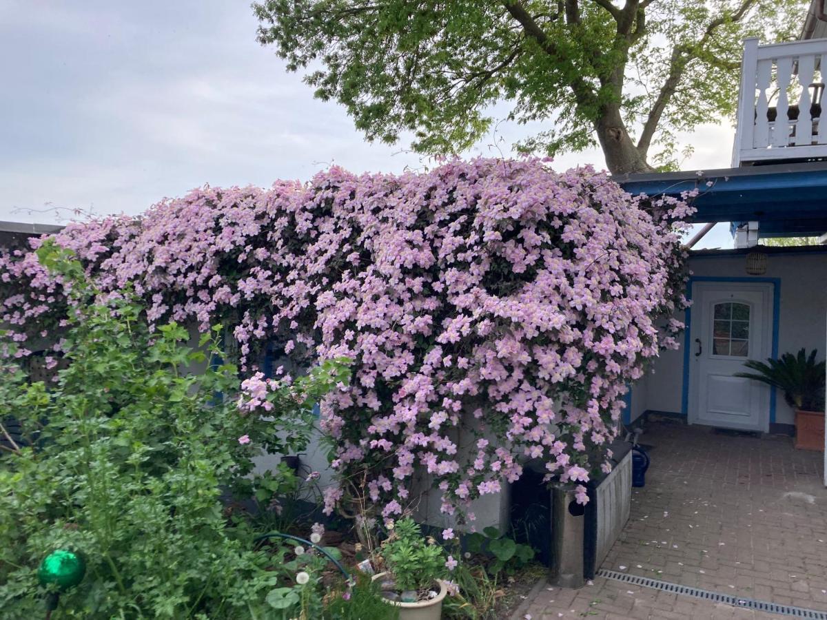 Ahoi Marie Apartman Middelhagen Kültér fotó